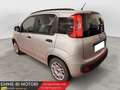Fiat Panda Panda 0.9 TwinAir Turbo S&S Lounge Grigio - thumbnail 4