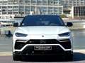 Lamborghini Urus 4.0 V8 650 ch BVA8 Blanc - thumbnail 14