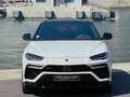 Lamborghini Urus 4.0 V8 650 ch BVA8 Blanc - thumbnail 2