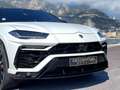 Lamborghini Urus 4.0 V8 650 ch BVA8 Blanc - thumbnail 5
