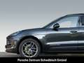Porsche Macan Panoramadach Surround-View LED PDLS+ 20-Zoll Grey - thumbnail 10
