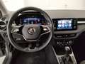 Skoda Fabia Fabia 1.0 TSI 95 CV Style Grigio - thumbnail 15