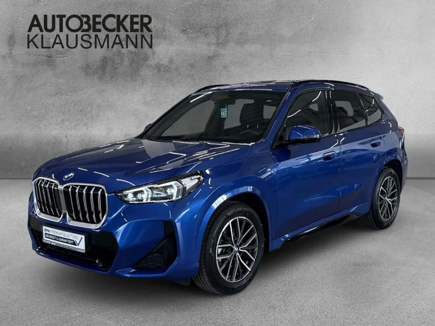 BMW X1 sDrive18i M Sport 18''LC PROF HuD AHK PANO 360°Kam Azul - 1