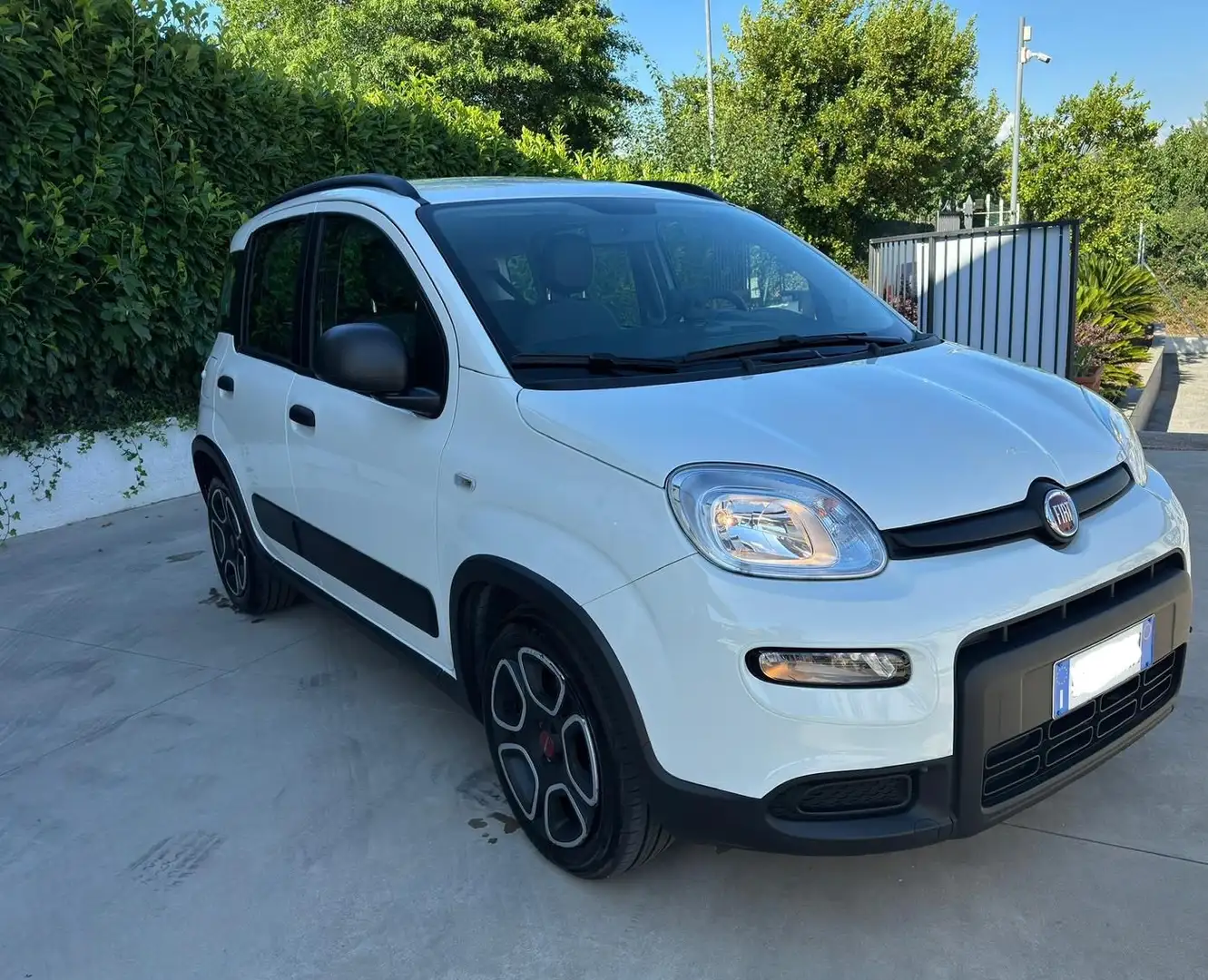 Fiat Panda 1.0 firefly hybrid City Cross s&s 70cv - 1