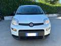 Fiat Panda 1.0 firefly hybrid City Cross s&s 70cv - thumbnail 2