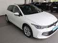Volkswagen Golf VIII 1.5 l TSI*SIH*EPH*LED*Panoramadach*AppConn*R Weiß - thumbnail 4