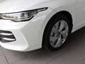 Volkswagen Golf VIII 1.5 l TSI*SIH*EPH*LED*Panoramadach*AppConn*R Weiß - thumbnail 9