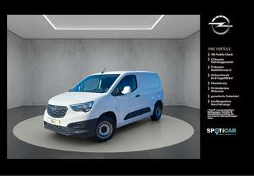 E Cargo L1/H1 Sondermodell "Edition" 1Hand