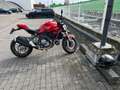 Ducati Monster 821 Origine Rouge - thumbnail 2