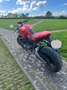 Ducati Monster 821 Origine Rouge - thumbnail 6