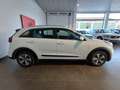 Kia Niro 1.6 HEV Drive Blanco - thumbnail 4