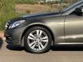 Mercedes-Benz E 200 CGI BlueEFFICIENCY Cabrio Aut. Amarillo - thumbnail 7