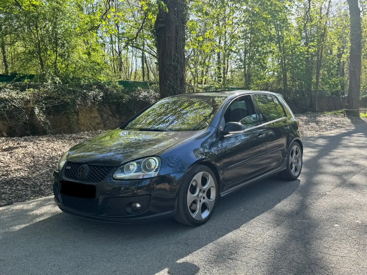 Volkswagen Golf GTI 2.0 T 16S FSI 200 DSG - 2