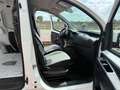 Fiat Fiorino FIORINO CARGO 1.3 MULTIJET EURO 6D-TEMP Bianco - thumbnail 9