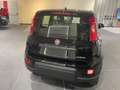 Fiat Panda 1.0 firefly hybrid s&s 70cv CON ROTTAMAZIONE Nero - thumbnail 7