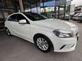Mercedes-Benz A 180 A 180 CDI / d BlueEfficiency Weiß - thumbnail 5
