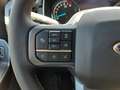 Ford F 150 F-150 XLT 5.0 V8 mit LPG Gasanlage Grau - thumbnail 20