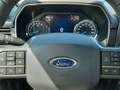 Ford F 150 F-150 XLT 5.0 V8 mit LPG Gasanlage Grau - thumbnail 21