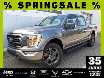 F-150 XLT 5.0 V8 mit LPG Gasanlage
