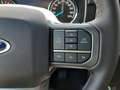 Ford F 150 F-150 XLT 5.0 V8 mit LPG Gasanlage Grau - thumbnail 22