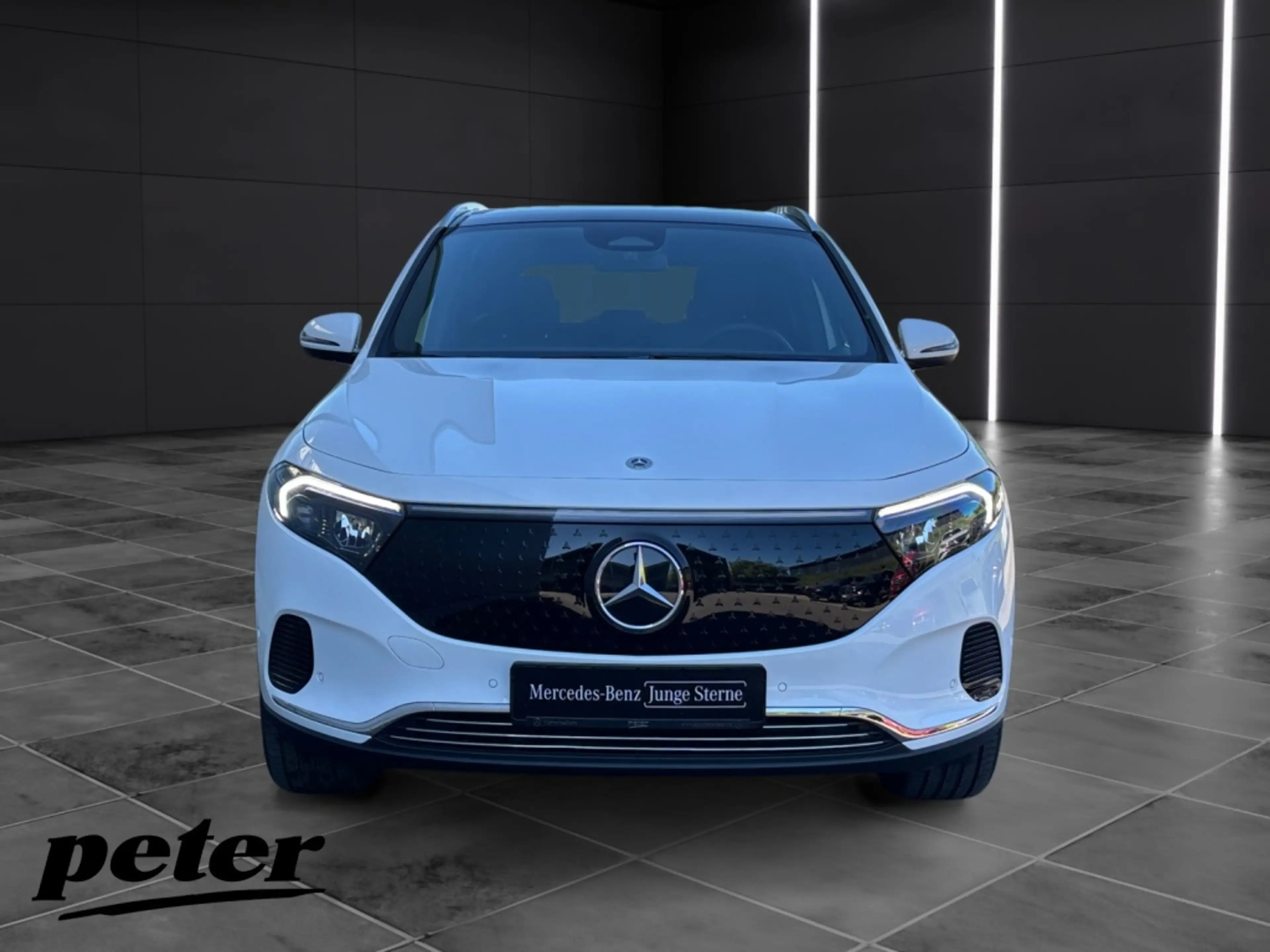 Mercedes-Benz EQA 350 4M Progressive*LED*Panorama-SD*Easy-Pack — photo 3