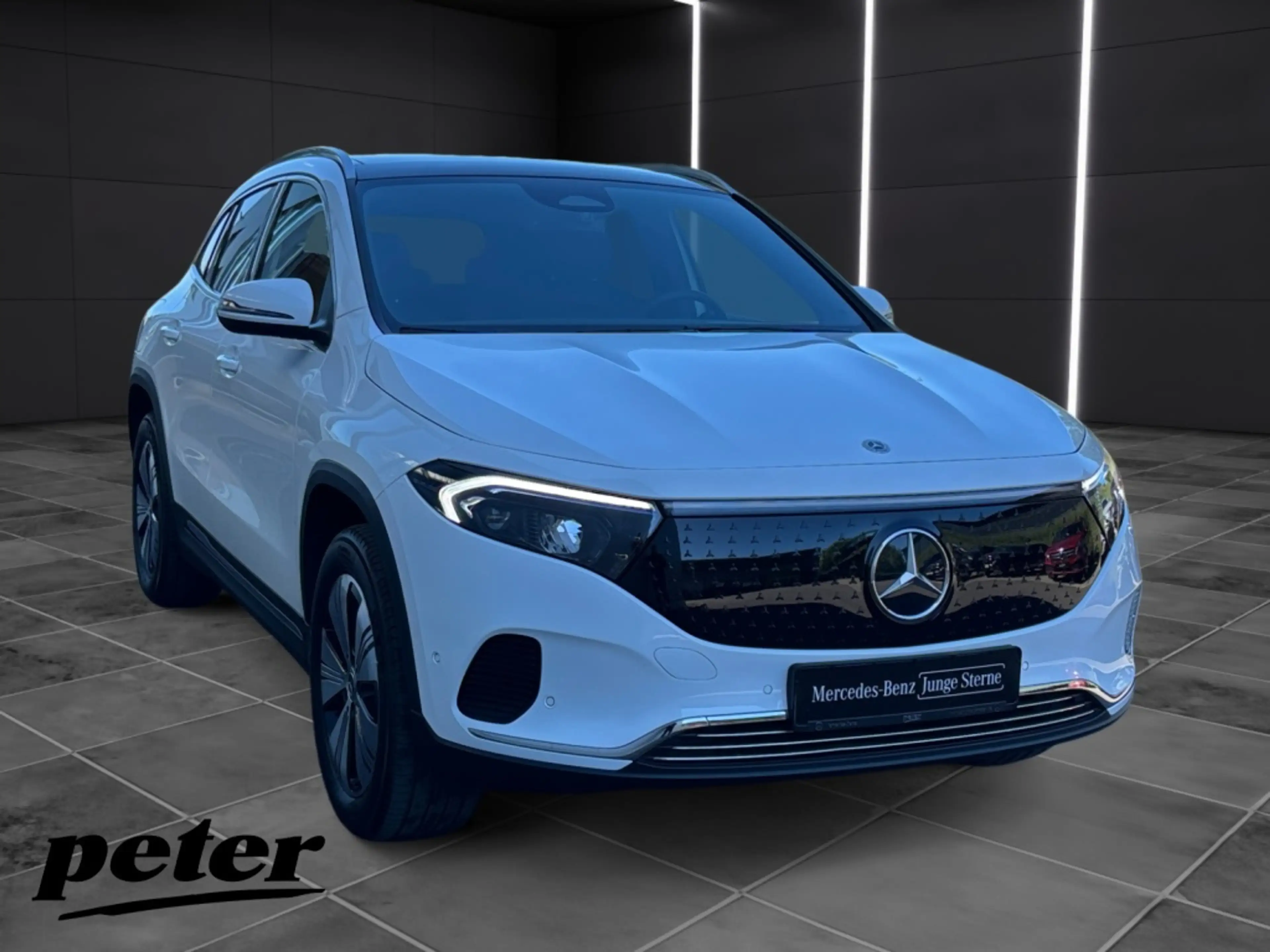 Mercedes-Benz EQA 350 4M Progressive*LED*Panorama-SD*Easy-Pack — photo 4