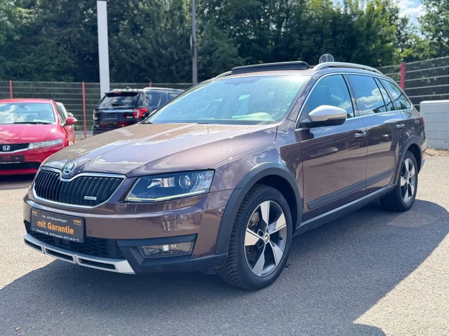 Skoda Octavia 2.0 TDI Combi Scout 4x4+AHK+EU6+DSG+ACC Braun - 1