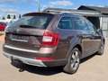 Skoda Octavia 2.0 TDI Combi Scout 4x4+AHK+EU6+DSG+ACC Braun - thumbnail 6