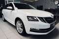 Skoda Octavia Combi Style DSG|SHZ|ACC|DCC|LED|NAVISPUR* Weiß - thumbnail 9