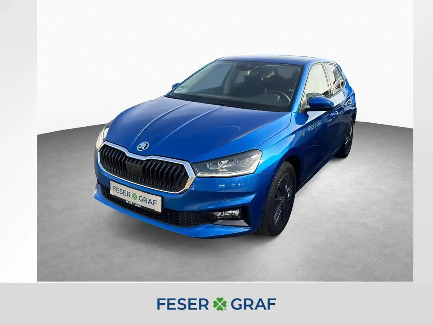 Skoda Fabia Tour 1.0TSI TOUR*Winterpaket*ALU*SmartLink*uvm Blau - 1