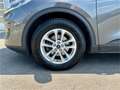 Ford Kuga 2,0 EcoBlue AWD Titanium X Aut. Automatik All Grau - thumbnail 4