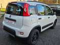 Fiat Panda 4x4 5° POSTO, ELD SUPER PROMO NO FIN A TEMPO ! Weiß - thumbnail 3