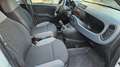 Fiat Panda 4x4 5° POSTO, ELD SUPER PROMO NO FIN A TEMPO ! Weiß - thumbnail 12