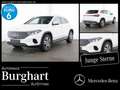 Mercedes-Benz EQA 250 EQA 250 Progressive/Erweiterte Serienausstattung Wit - thumbnail 1