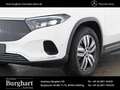 Mercedes-Benz EQA 250 EQA 250 Progressive/Erweiterte Serienausstattung Wit - thumbnail 3