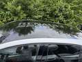 Renault Megane TCe300 EDC TROPHY SHZ Bose Alu20' KW-Fahrwerk Argintiu - thumbnail 7