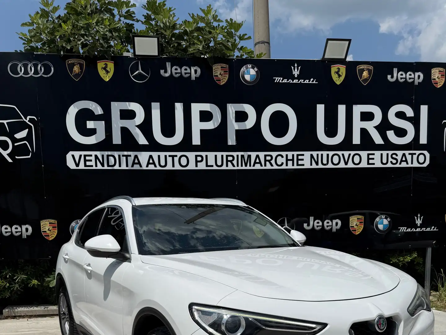 Alfa Romeo Stelvio Stelvio 2.2 t Business Q4 210cv auto Weiß - 1