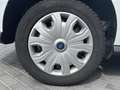 Ford Transit Connect Kasten 1.5TDCi Trend Xenon Navi Weiß - thumbnail 20