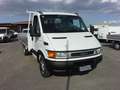 Iveco Daily 35C122.3 HPI 3 POSTI CASSONE FISSO 4,50 X 2,20 Bianco - thumbnail 9