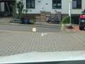 BMW 120 d xDrive M Sport AT Head-Up LED Kamera uvm Weiß - thumbnail 13