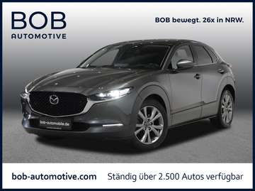 2.0 M-Hybrid SELECTION 360° BOSE SHZ LHZ