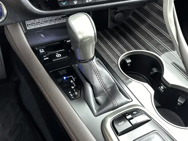 Lexus RX view 14