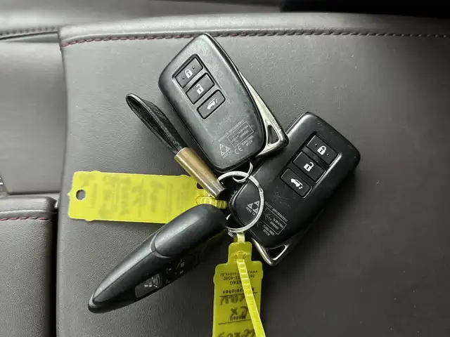 Lexus RX view 15