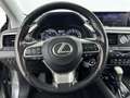 Lexus RX 450h 4WD President Line | 360° Camera | Parkeersensoren Gris - thumbnail 24