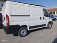 Fiat Ducato 2.3 MJT 120 CV L1H1 PASSO CORTO TETTO BASSO Blanc - thumbnail 4