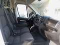 Fiat Ducato 2.3 MJT 120 CV L1H1 PASSO CORTO TETTO BASSO Blanc - thumbnail 12