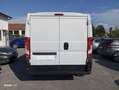 Fiat Ducato 2.3 MJT 120 CV L1H1 PASSO CORTO TETTO BASSO Blanc - thumbnail 6