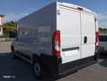 Fiat Ducato 2.3 MJT 120 CV L1H1 PASSO CORTO TETTO BASSO Blanc - thumbnail 3
