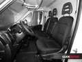 Fiat Ducato 2.2 MJET 140CV 35 L2 H2+PACK Blanc - thumbnail 12