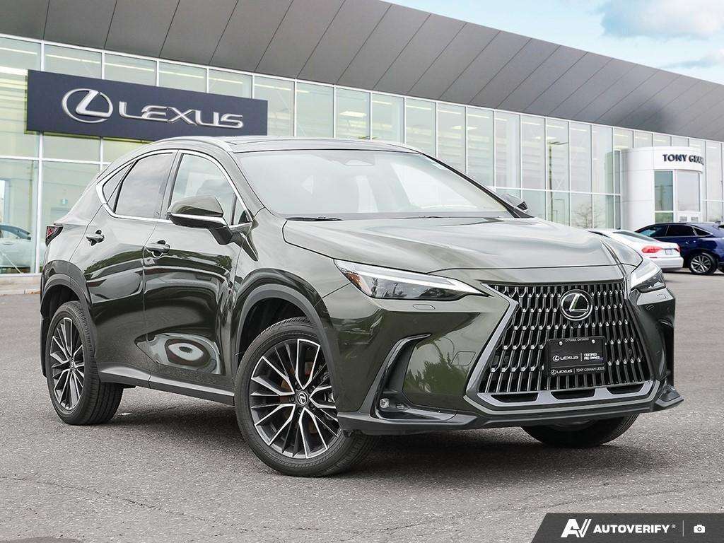 2024 Lexus NX